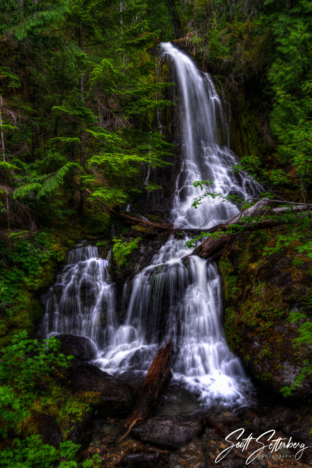 Falls Creek Falls - Mt. Rainier