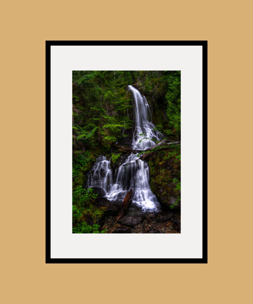 Falls Creek Falls - Mt. Rainier Framed