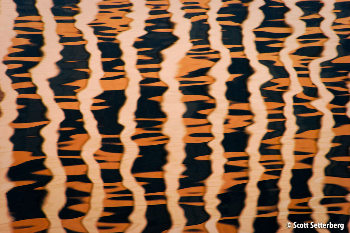 Orange Black Reflection Framed