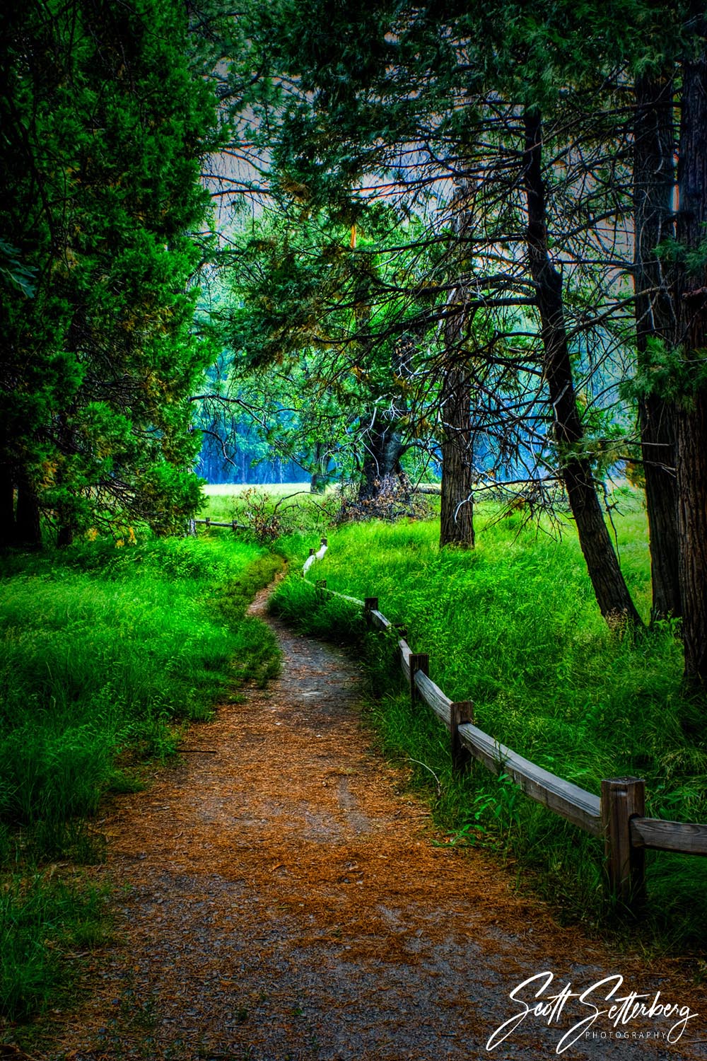 Yosemite Pathway