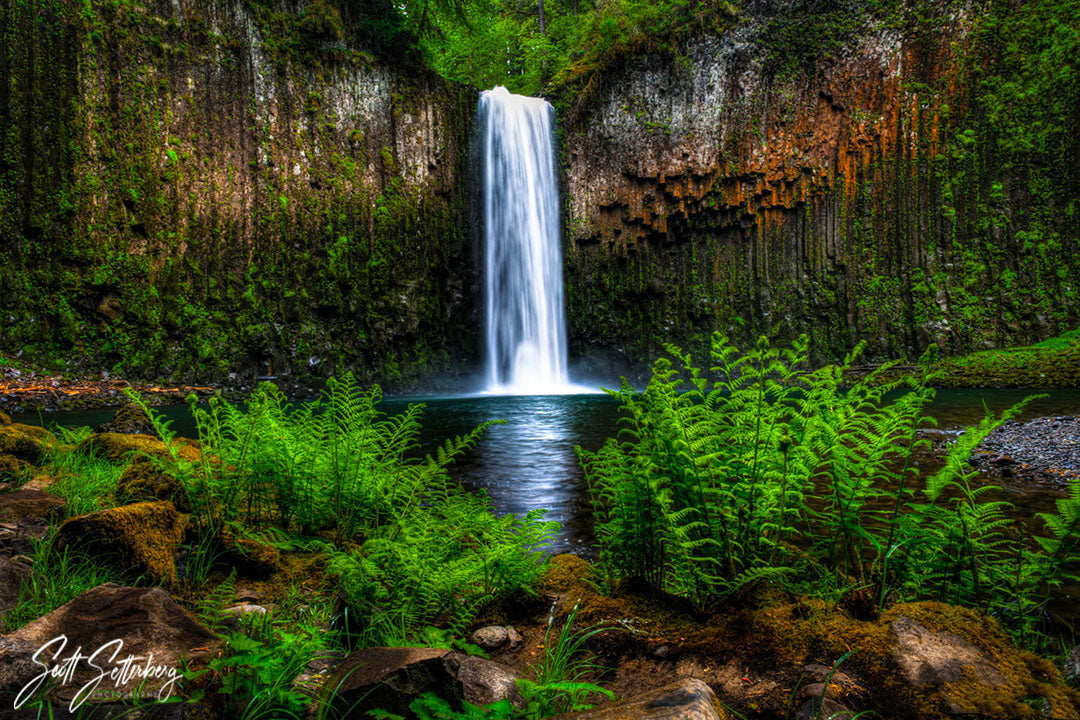 Awesome Abiqua Falls In Oregon