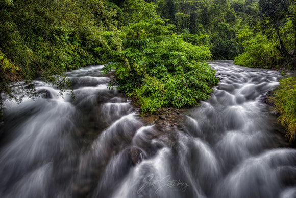 A New Vision For Costa Rica Photography Workshops