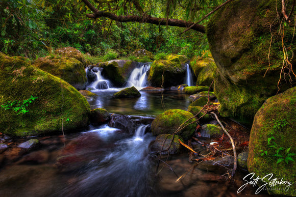 Creative Composition: Natural Frames