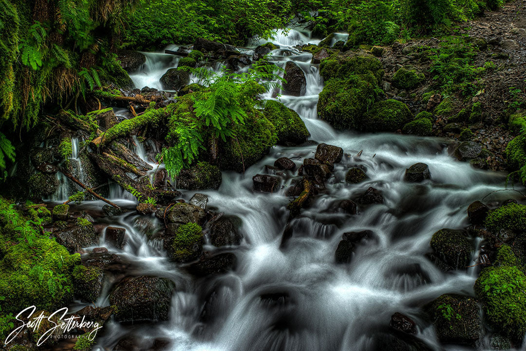 Discovering Hidden Gems