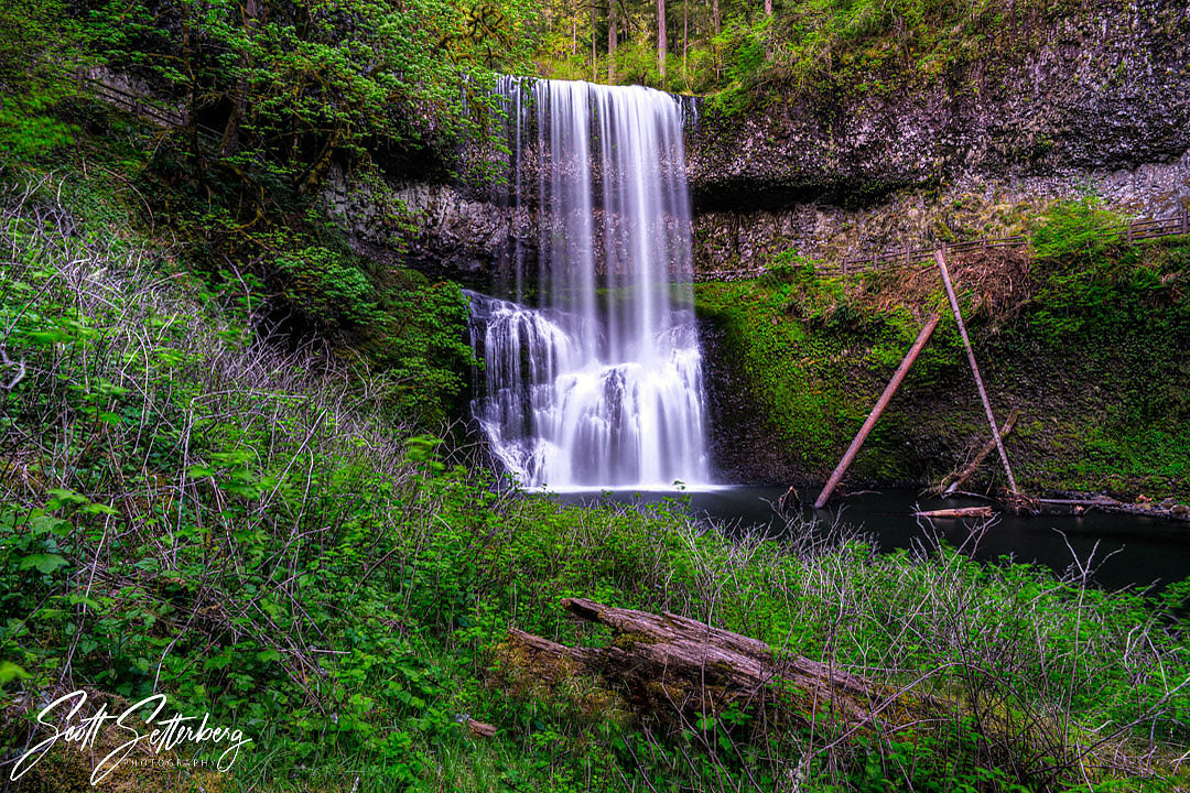Oregon's Silver Falls State Park