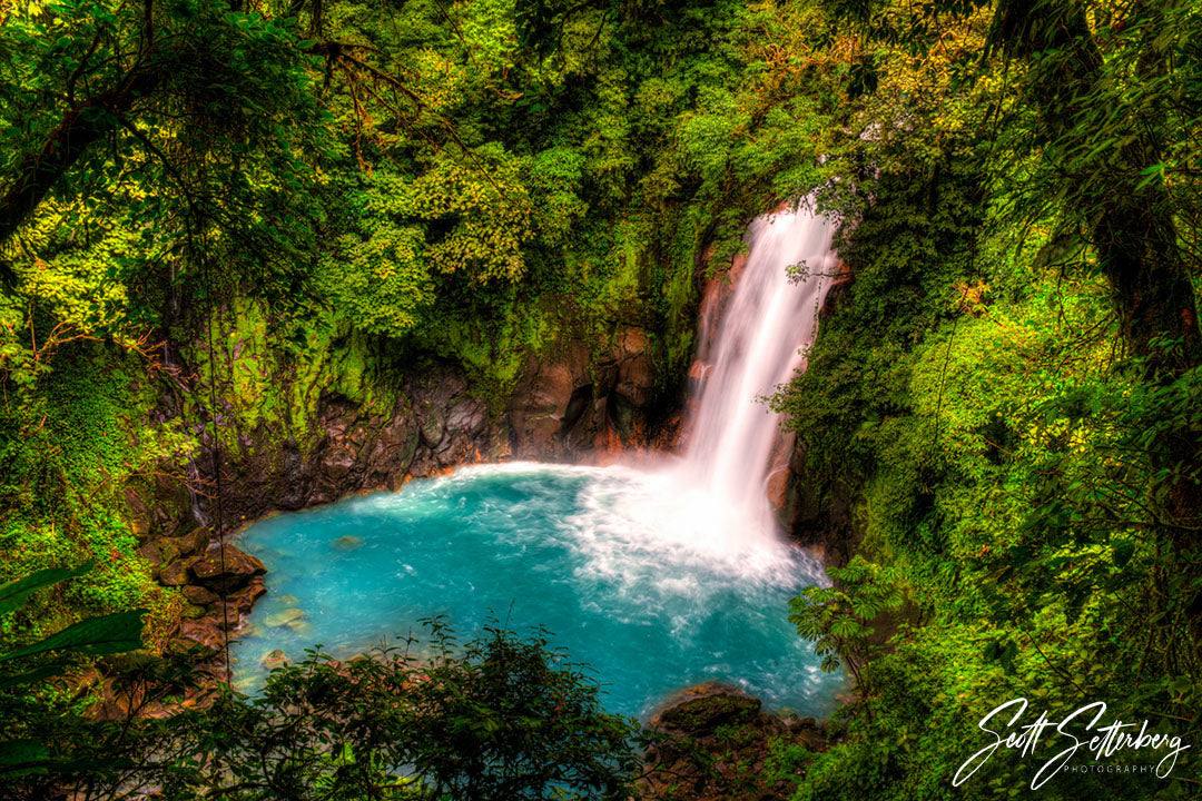Costa Rica Nature Guide