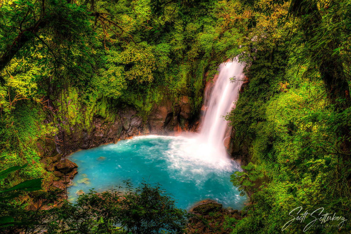 Costa Rica Nature Guide