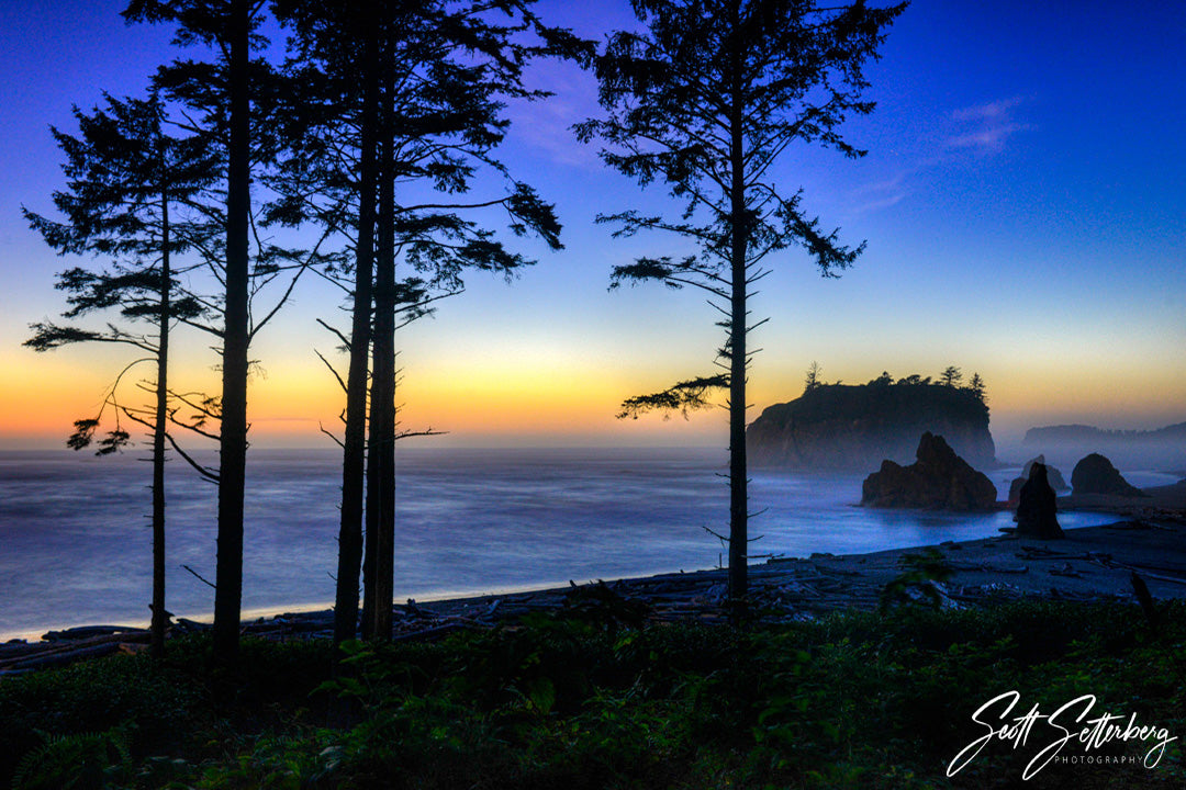 Olympic National Park Photo Tours