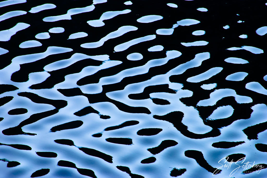 Bishop Reflection