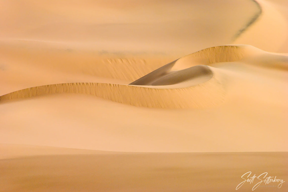 Dumont Swirl
