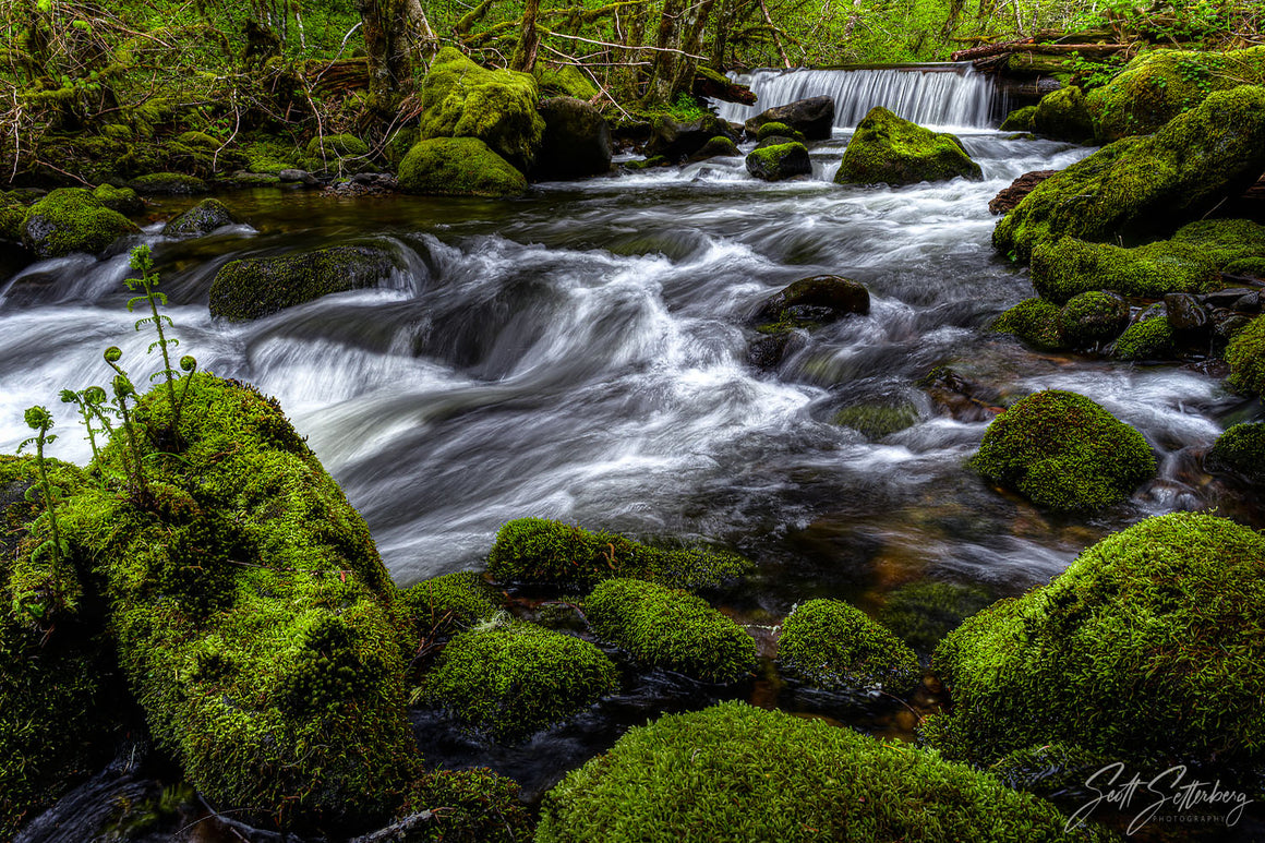 Falls Creek Falls Stream