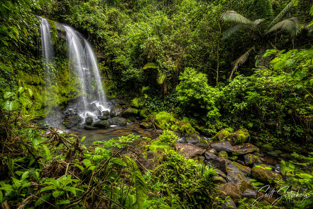 Christina's Waterfall Costa Rica Photo Workshop