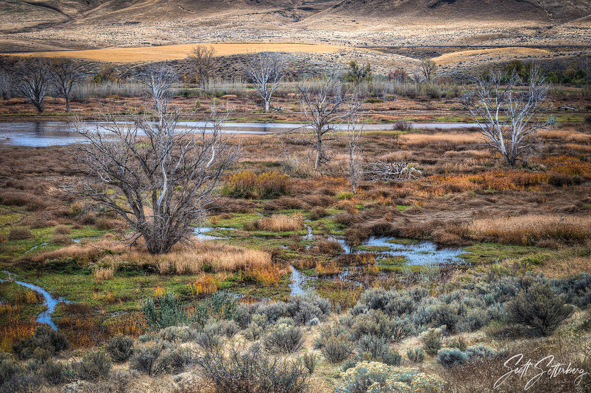 McNary Wildlife Refuge
