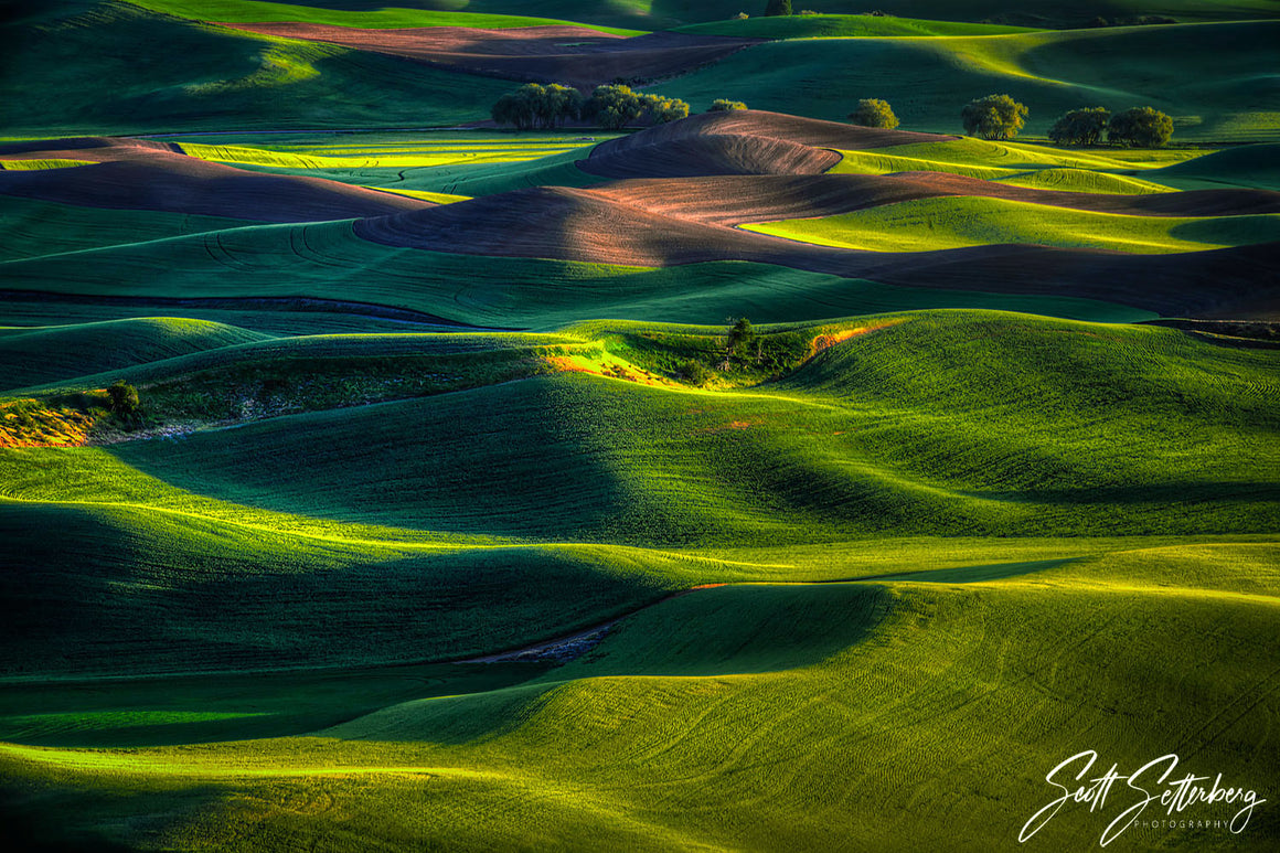 The Palouse