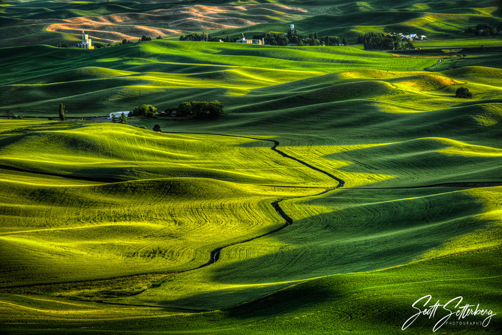 The Palouse