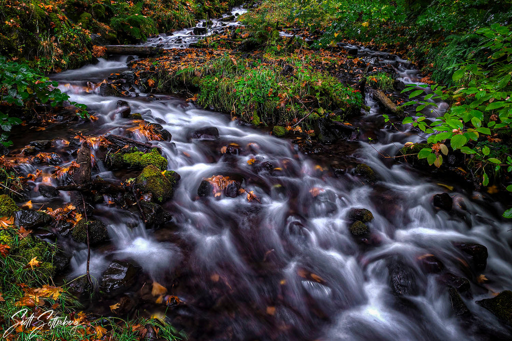 Wahkeena Stream