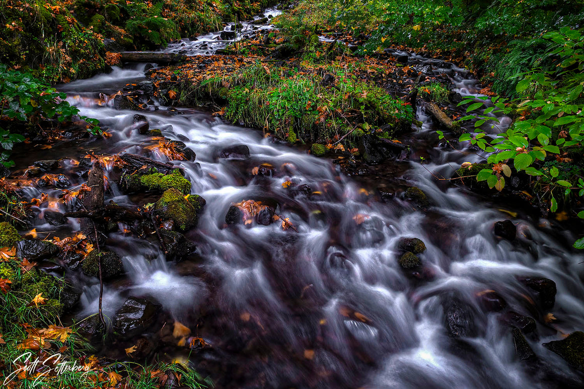Wahkeena Stream