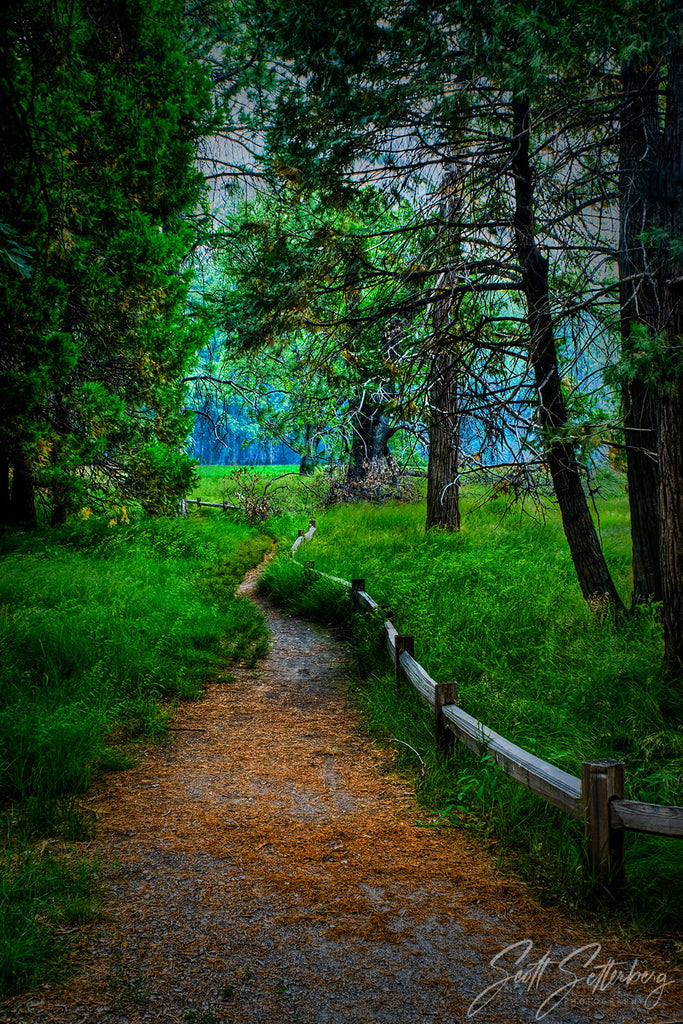 Yosemite Pathway