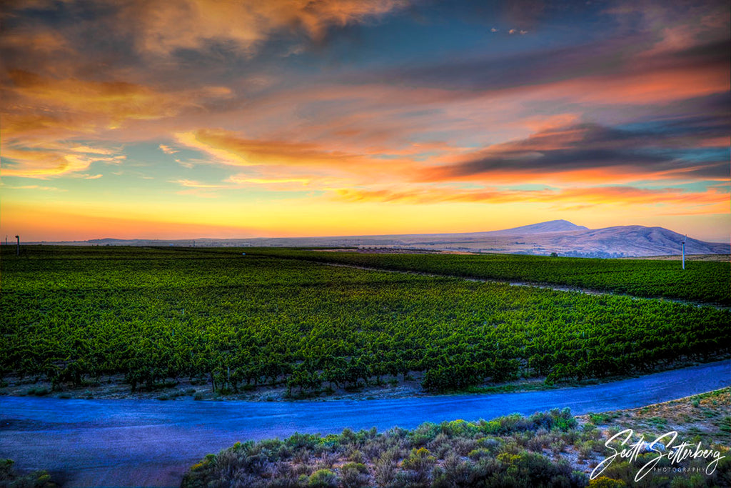 Kiona Vineyards Payment