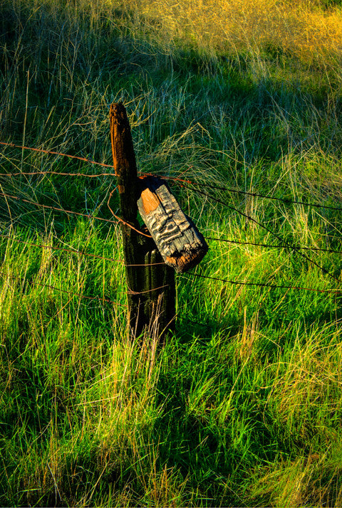 Barb Wire Fence