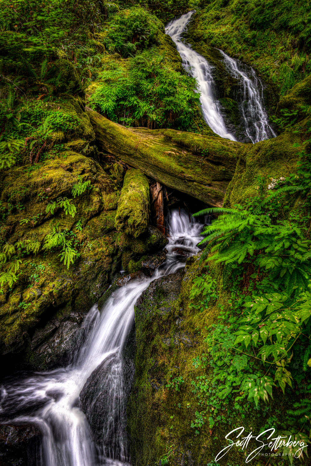 Bunch Creek Falls
