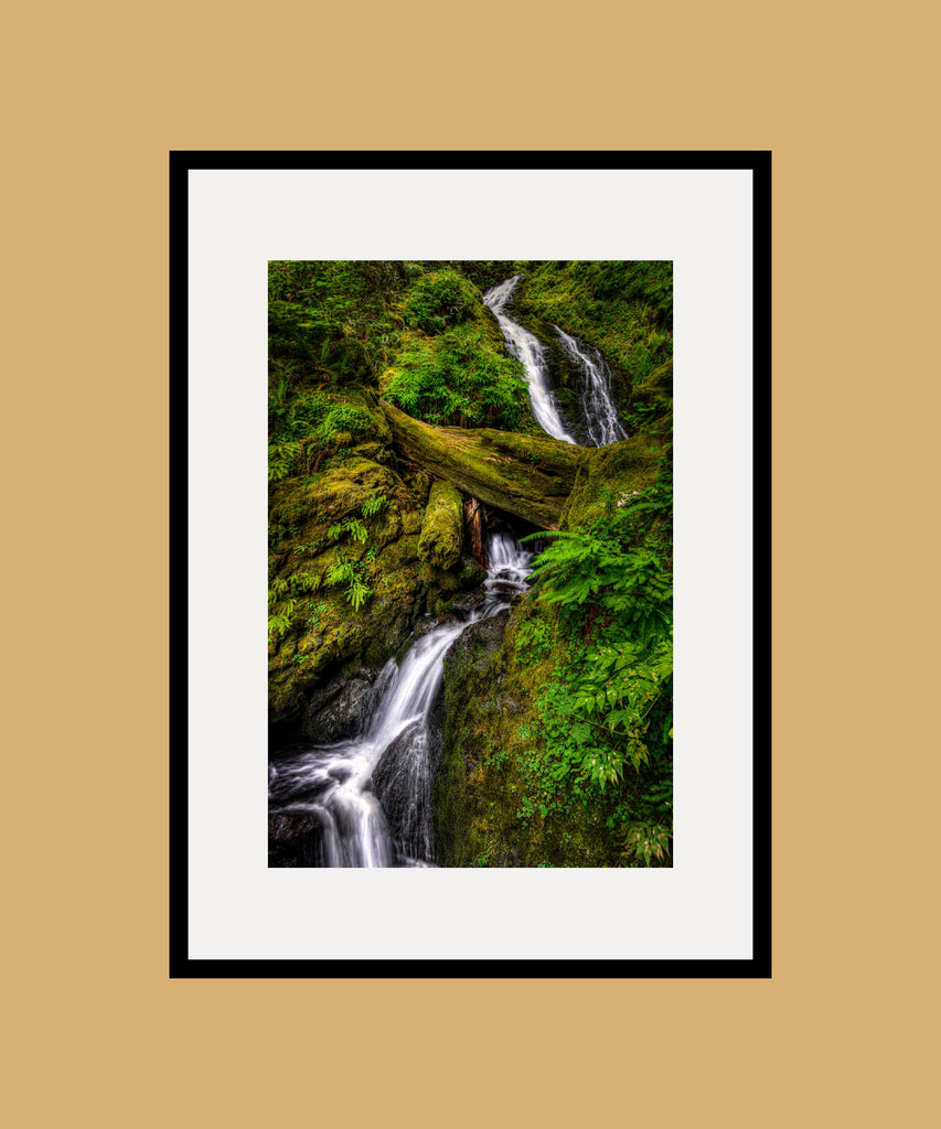Bunch Creek Falls Framed