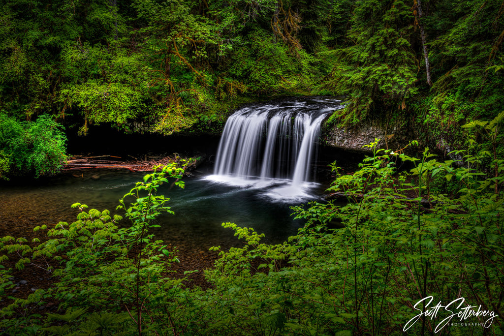 Above Butte Creek Falls