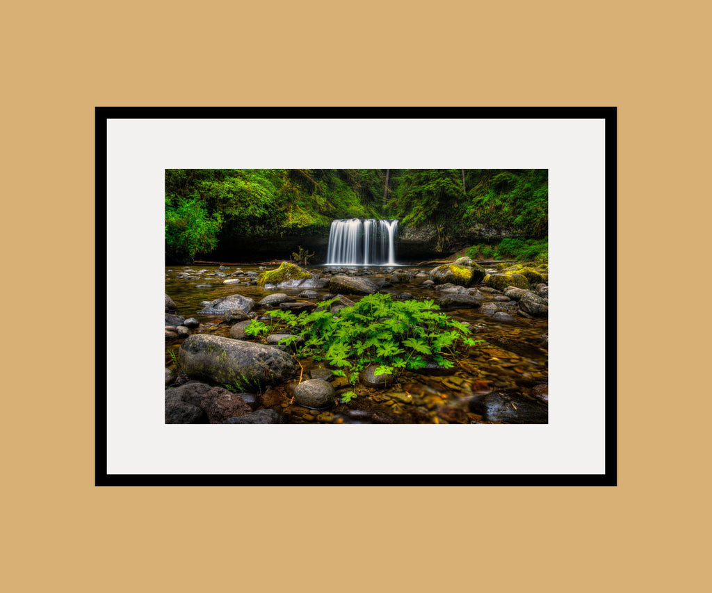 Butte Creek Falls Framed