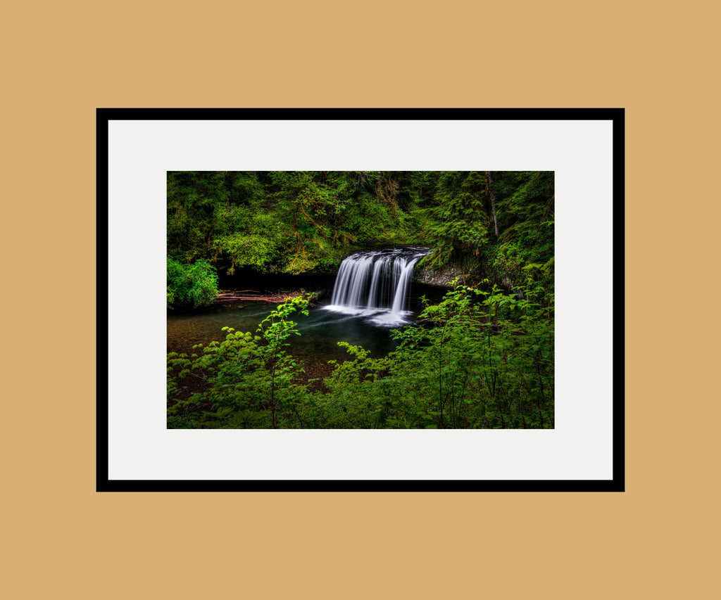 Above Butte Creek Falls Framed