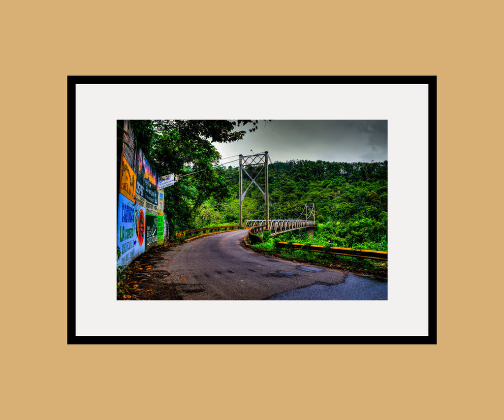 Jungle Bridge Framed