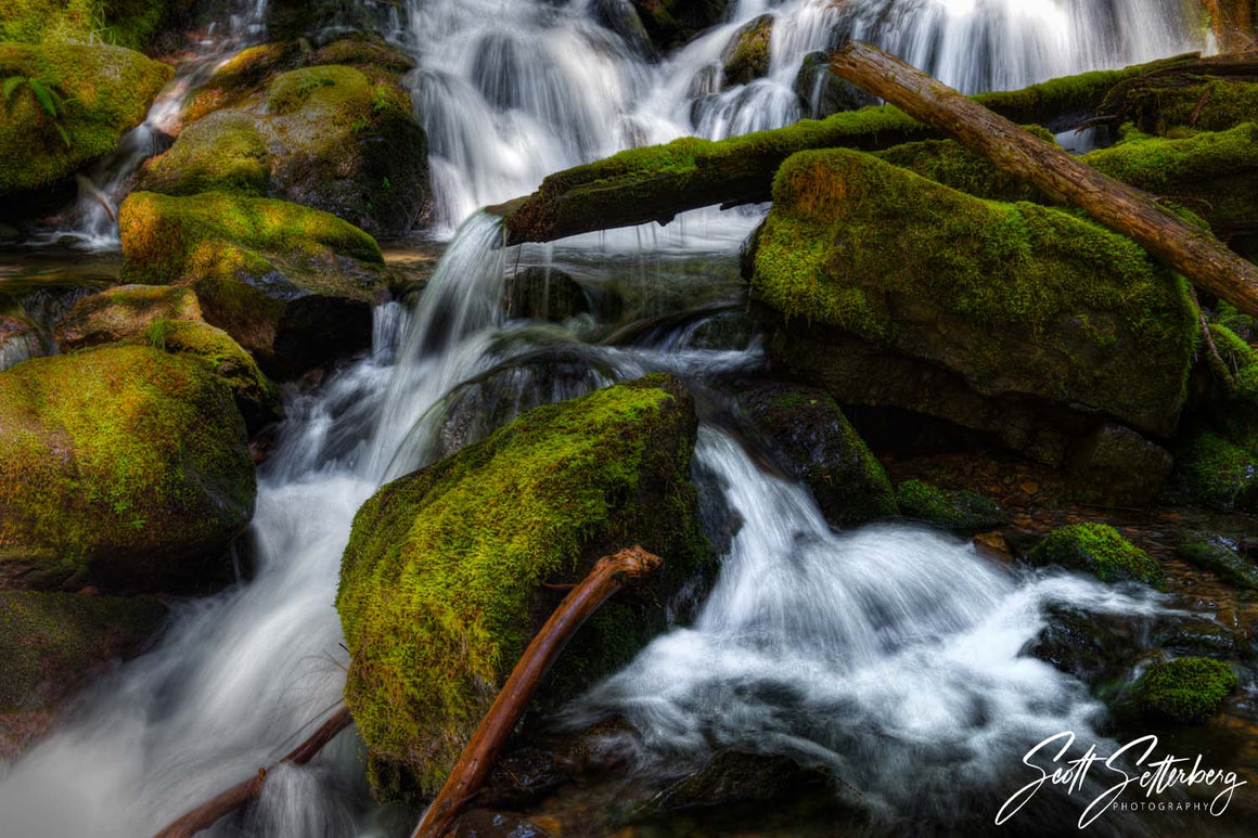 Falls Creek Falls Stream Mt. Rainier