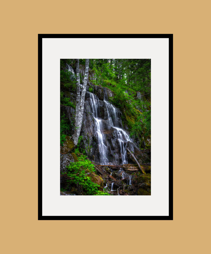 Mt. Rainier Falls Framed
