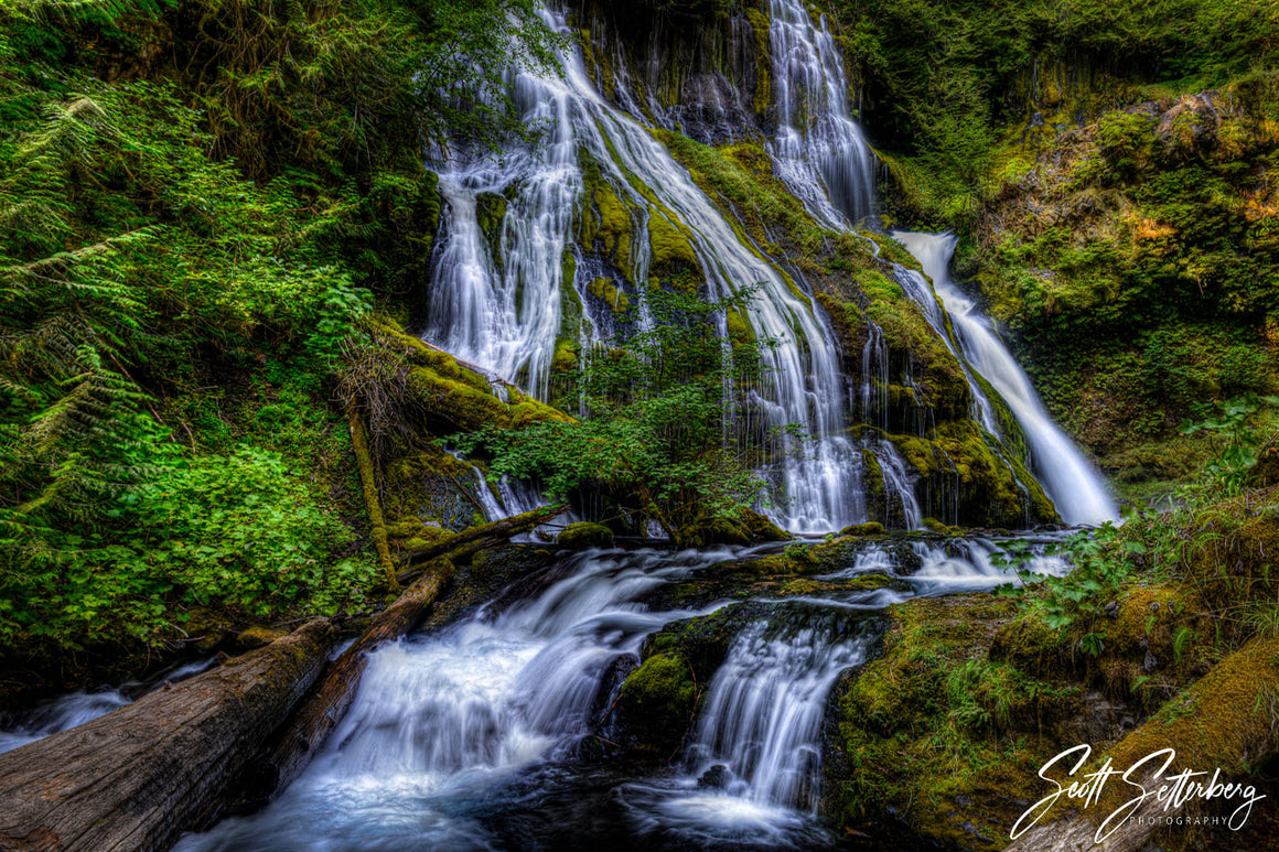 Panther Creek Falls