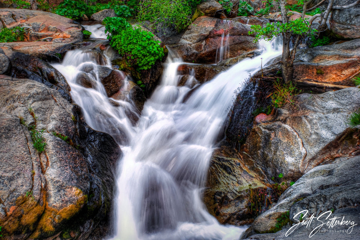 Upper Tamarack Creek