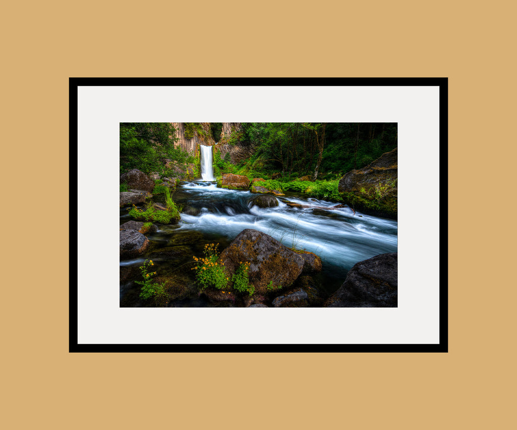 Toketee Falls Framed