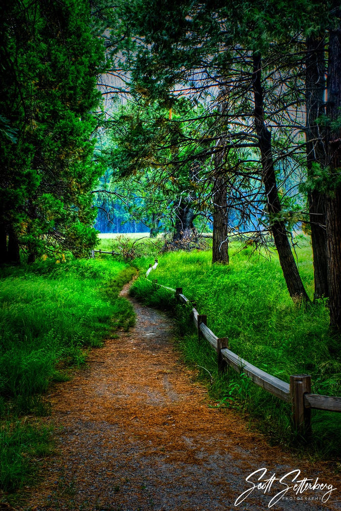 Yosemite Pathway