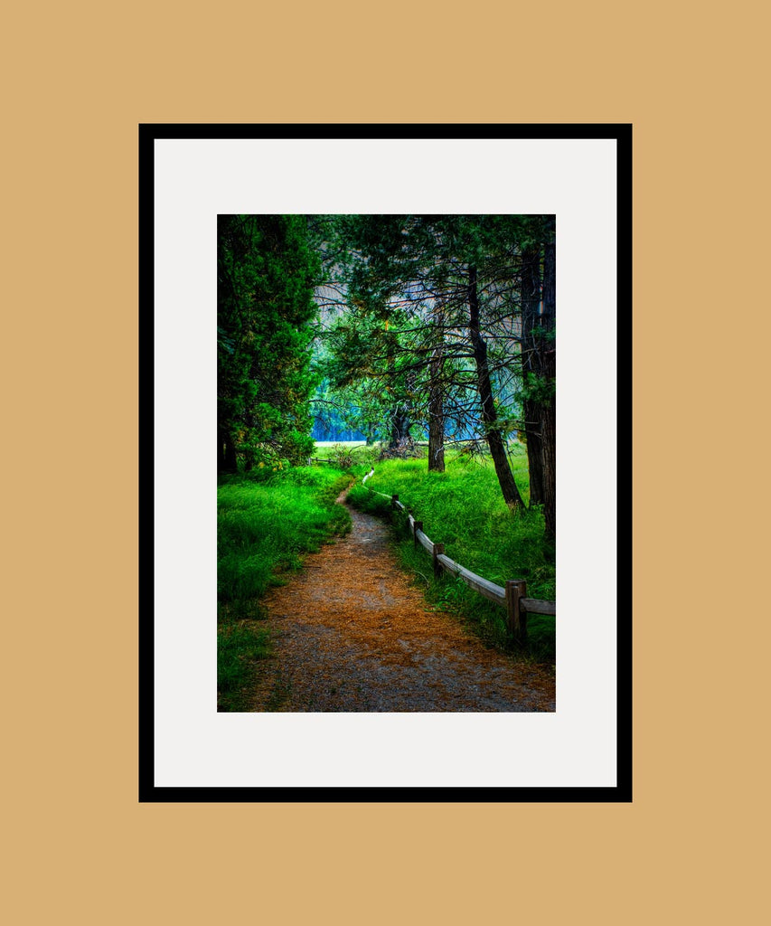 Yosemite Pathway Framed