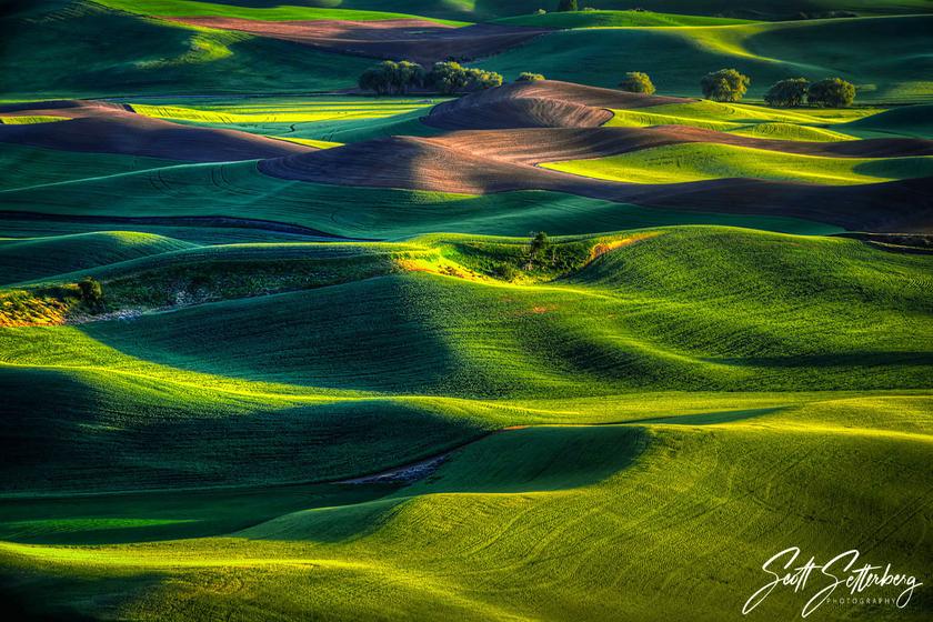 PALOUSE EASTERN WASHINGTON PHOTO WORKSHOP