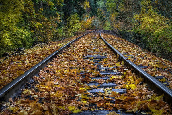OREGON FALL COLORS PHOTOGRAPHY WORKSHOP