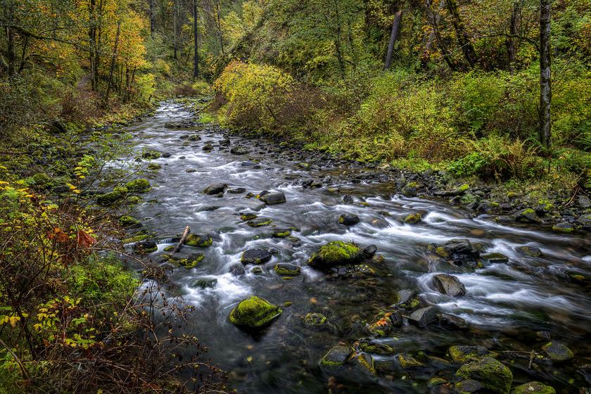 OREGON FALL COLORS PHOTOGRAPHY WORKSHOP