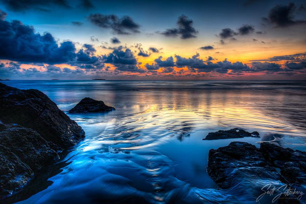 WILD COSTA RICA PHOTOGRAPHY WORKSHOP