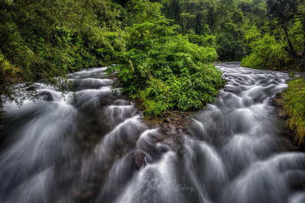 ICONIC COSTA RICA PHOTOGRAPHY WORKSHOP